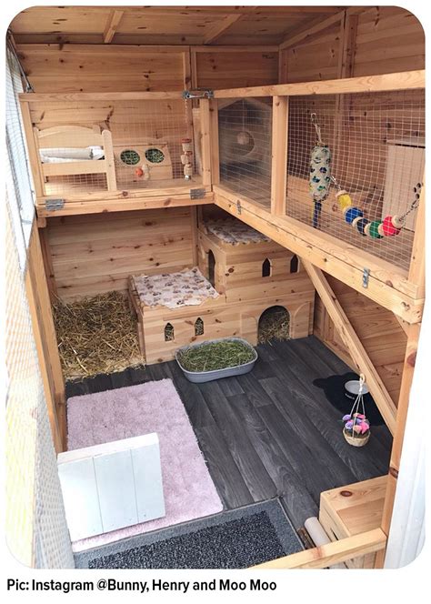 rabbit house figgerits|Rabbit's house Figgerits .